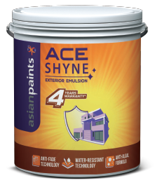 Ace Shyne